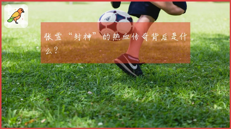张雪“封神”的热血传奇背后是什么？