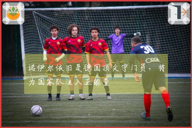 诺伊尔依旧是德国顶尖守门员，将为国家队注入正能量